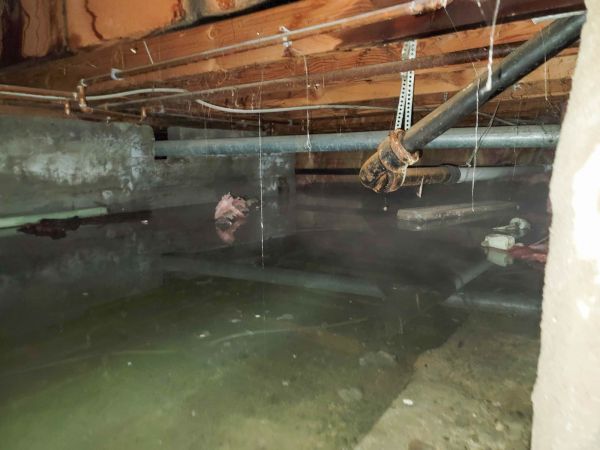 Crawl Space Drying Service