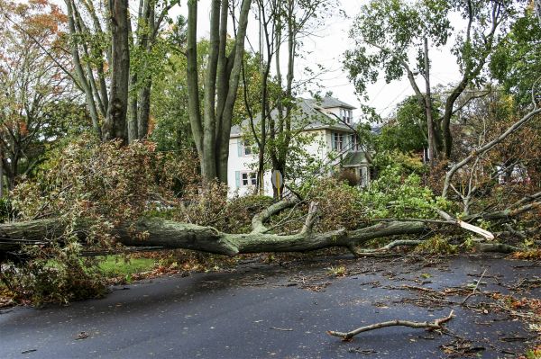 Tornado Damage Repair Service