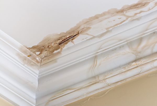 Water Damage Recovery Service